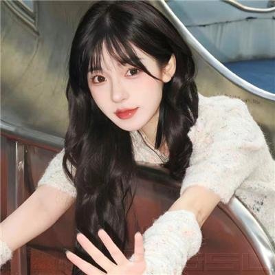 鲤氏侦探事务所日语